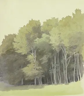 Shadows Prints: Edge of a wood, c1853. Creator: Carl Theodor Reiffenstein