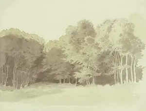 Bright Prints: Edge of a wood, c1853. Creator: Carl Theodor Reiffenstein