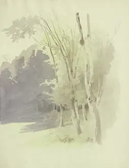 Sloped Prints: Edge of a wood, c1853. Creator: Carl Theodor Reiffenstein