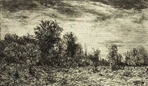 Panoramic Gallery: Edge of a Wood, under Cloudy Sky, 1846. Creator: Charles Emile Jacque