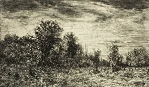 Landscapeprints And Drawings Prints: Edge of a Wood, under Cloudy Sky, 1846. Creator: Charles Emile Jacque