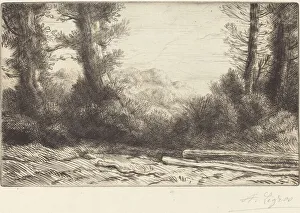 Hedgerow Prints: Edge of a Wood (Lisiere de bois). Creator: Alphonse Legros