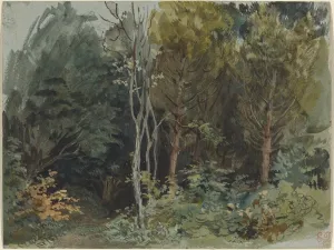 Ferdinand Victor Eugène Delacroix Prints: The Edge of a Wood at Nohant, c. 1842 / 1843. Creator: Eugene Delacroix