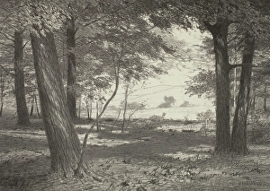 Edge Prints: Edge of the Woods, c1920s. Creator: Bolton Coit Brown