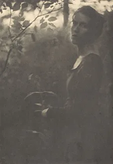 White Clarence H Prints: Edge of the Woods, Evening, 1900. Creator: Clarence H White