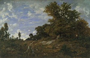 Seine Et Marne Collection: The Edge of the Woods at Monts-Girard, Fontainebleau Forest, 1852-54. Creator: Theodore Rousseau