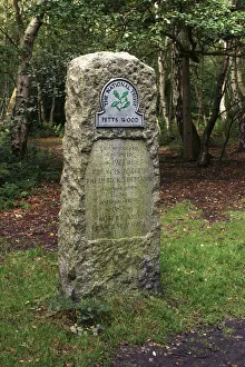Honour Gallery: Edlmann memorial, Petts Wood, Kent, 2005