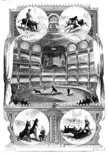 Cruelty To Animals Prints: The Educated Mules at the Alhambra Palace, 1858. Creator: Unknown