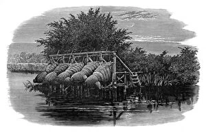 Eel bucks on the Thames, 19th century
