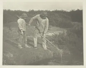 Eel-Picking in Suffolk Waters, c. 1883/87, printed 1888. Creator: Peter Henry Emerson Eel-Picking in Suffolk Waters, c. 1883/87, printed 1888. Creator: Peter Henry Emerson