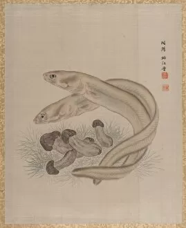 Album Leaf Gallery: Eels, ca. 1890-92. Creator: Seki Shuko