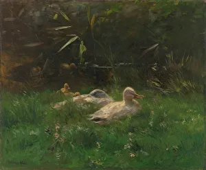 Duckling Prints: Eenden, c.1880-c.1904. Creator: Willem Maris