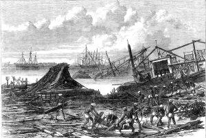 Salvage Prints: Effects of the cyclone at Calcutta, 1864. Creator: Unknown