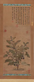 Aubergine Gallery: Eggplant, Ming dynasty, 1368-1644. Creator: Unknown