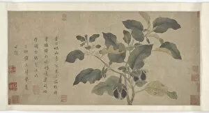 Aubergine Gallery: Eggplant, Yuan or Ming dynasty, 14th century. Creator: Unknown