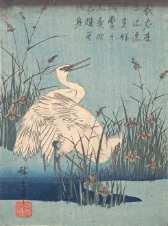 Grasses Prints: Egret in Iris and Grasses, ca. 1837. ca. 1837. Creator: Ando Hiroshige