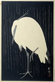 Landscapeanimals And Birds Prints: Egret in the rain, 1925-1936. Creator: Ohara, Koson (1877-1945)