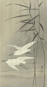 Koson 1877 1945 Prints: Two egrets in flight, Between 1910 and 1920. Creator: Ohara, Koson (1877-1945)