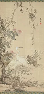 Pond Collection: Egrets, Peonies, and Willows, early 19th century. Creator: Yamamoto Baiitsu