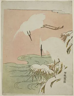 Egret Prints: Two Egrets in the Snow, c. 1773. Creator: Isoda Koryusai
