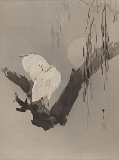 Seitei Prints: Egrets in a Tree at Night, ca. 1887. Creator: Watanabe Seitei