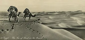 Egypt - The Sea of Land in the Desert, c1918-c1939. Creator: Unknown Egypt - The Sea of Land in the Desert, c1918-c1939. Creator: Unknown