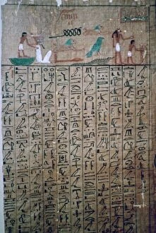Book Of The Dead Gallery: Egyptian hieroglyphs from a Book of the Dead
