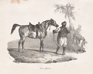 1791 1824 Prints: Egyptian Mare, 1822. Creator: Theodore Gericault (French, 1791-1824)