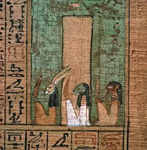 Animal Head Collection: Detail from the Egyptian papyrus of Ani