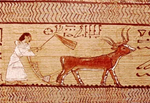 Karnak Prints: Egyptian Papyrus of Ani Ploughing, Theban Book of the Dead, c1250 BC