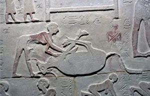 Bending Over Prints: Egyptian relief of the cutting up of a carcass