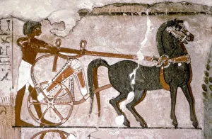 Egyptian Wallpainting from the Tomb of Nebanmun at Thebes, c1400 BC. Chariot and Attendant Egyptian Wallpainting from the Tomb of Nebanmun at Thebes, c1400 BC. Chariot and Attendant