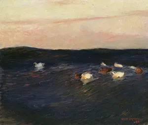 Safety In Numbers Prints: Eider Ducks, 1894. Creator: Bruno Liljefors