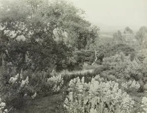 Photographic Prints 1910 1920 Gmgpc Prints: El Cerrito, Edward Larned Ryerson Jr