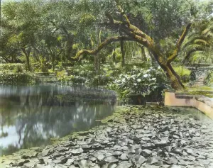 Water Lily Prints: El Mirador, J. Ogden Armour house