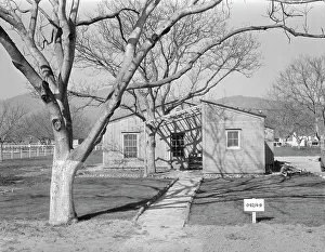 Homestead Prints: El Monte federal subsistence homesteads, California, 1936. Creator: Dorothea Lange