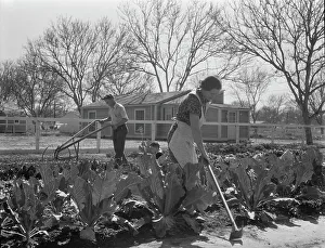 Homestead Prints: El Monte federal subsistence homesteads, California, 1936. Creator: Dorothea Lange
