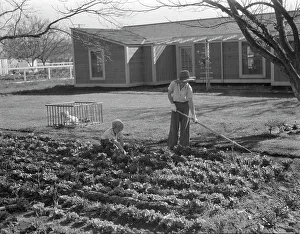 Multitasking Prints: El Monte federal subsistence homesteads, California, 1936. Creator: Dorothea Lange