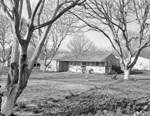Homestead Prints: El Monte federal subsistence Homesteads, California, 1936. Creator: Dorothea Lange