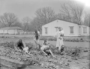 Homestead Prints: El Monte federal subsistence Homesteads, California, 1936. Creator: Dorothea Lange
