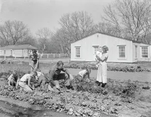 Homestead Prints: El Monte federal subsistence Homesteads, California, 1936. Creator: Dorothea Lange