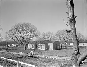 Homestead Prints: El Monte federal subsistence Homesteads, California, 1936. Creator: Dorothea Lange