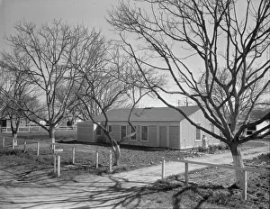 Homestead Prints: El Monte federal subsistence Homesteads, California, 1936. Creator: Dorothea Lange
