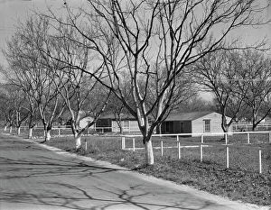 Homestead Prints: El Monte federal subsistence housing - 100 homes all occupied