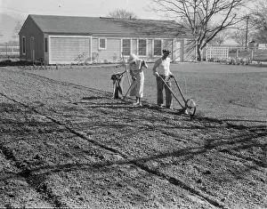 Homestead Prints: El Monte federal subsistence housing, California, 1936. Creator: Dorothea Lange