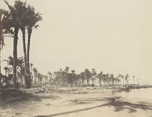 Date Palm Gallery: El-Nacerah, Dattiers, Rives du Nil et Barques, 1851-52, printed 1853-54