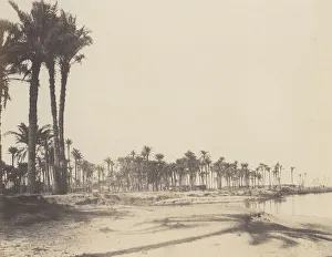 Teynard Gallery: El-Nacerah, Dattiers, Rives du Nil et Barques, 1851-52, printed 1853-54