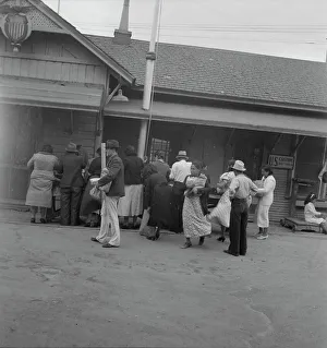 Quarantine Prints: El Paso residents at plant quarantine station