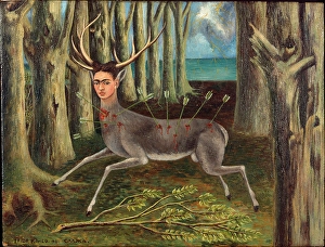Mexican Prints: El venado herido (The Wounded Deer or The Little Deer), 1946. Creator: Frida Kahlo