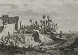 1853 Prints: Elche, Alicante province, Spain, 1853. Creator: Antonio Roca Sallent